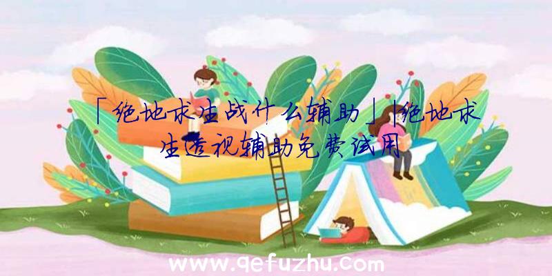 「绝地求生战什么辅助」|绝地求生透视辅助免费试用